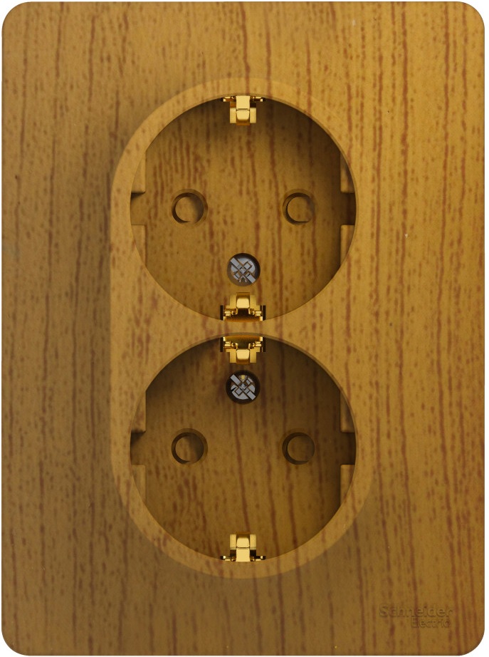 Systeme Electric Розетка Glossa GSL000526 