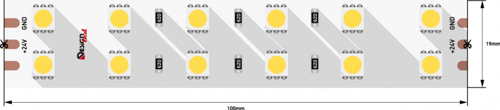 Светодиодная лента LUX DSG5120-24-W+WW-33 