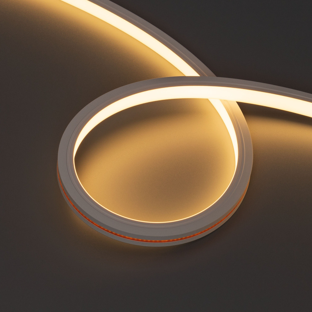 Arlight Гибкий неон Monlight 051125 