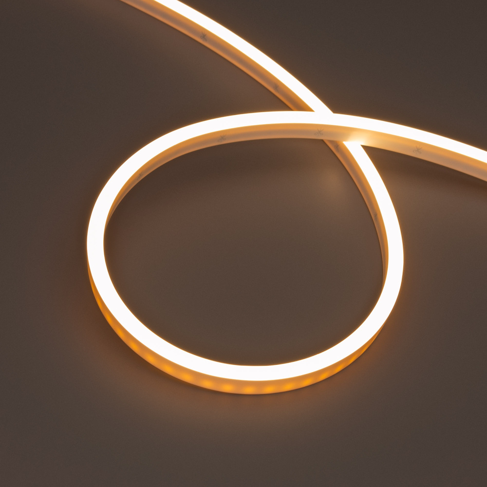 Arlight Гибкий неон WAVE 052591 