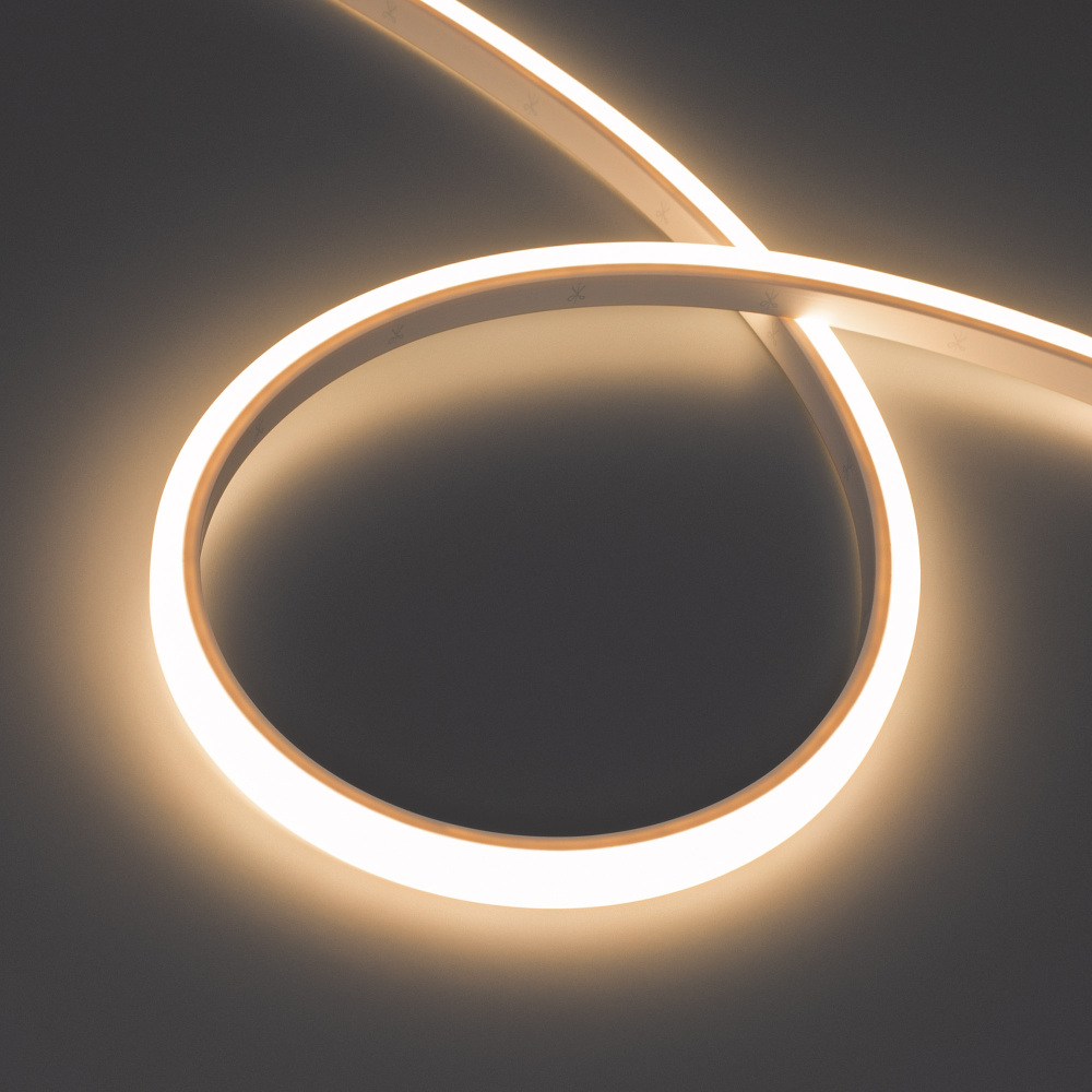 Arlight Гибкий неон  052621 