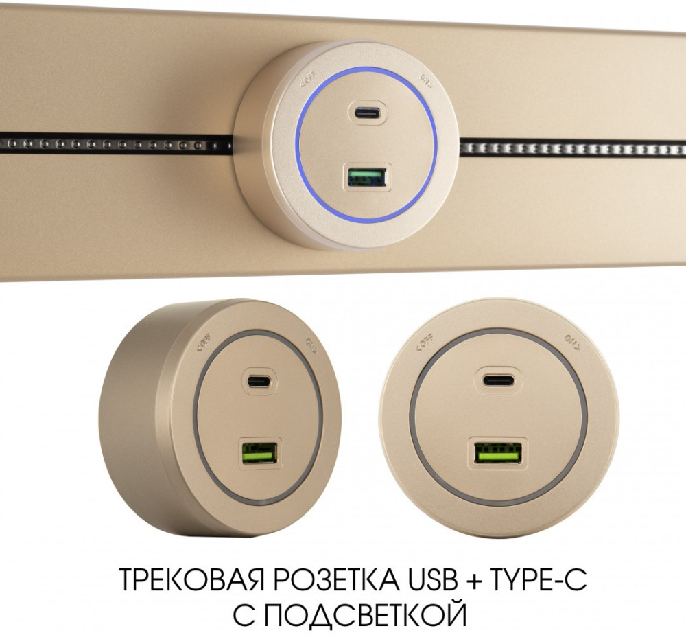 Трековая розетка Am-track-sockets-39 399731TS/USB-Type-C Gold 