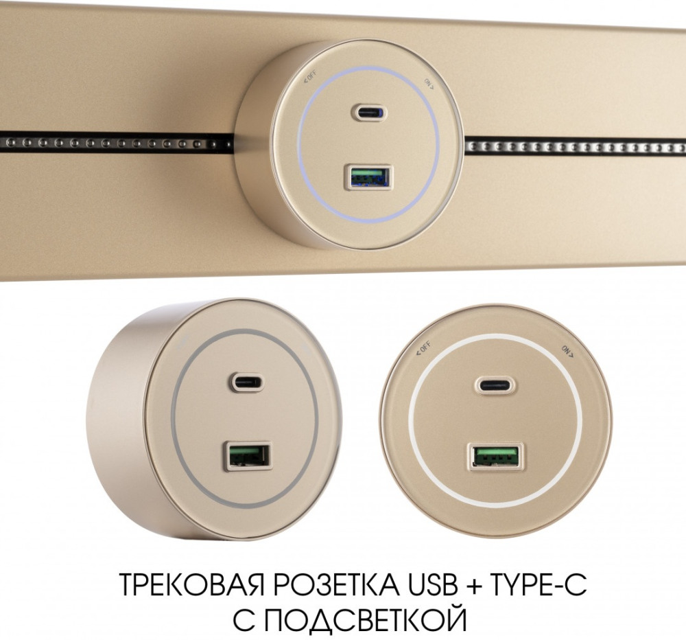 Трековая розетка Am-track-sockets-39 399732TS/USB-Type-C Gold 