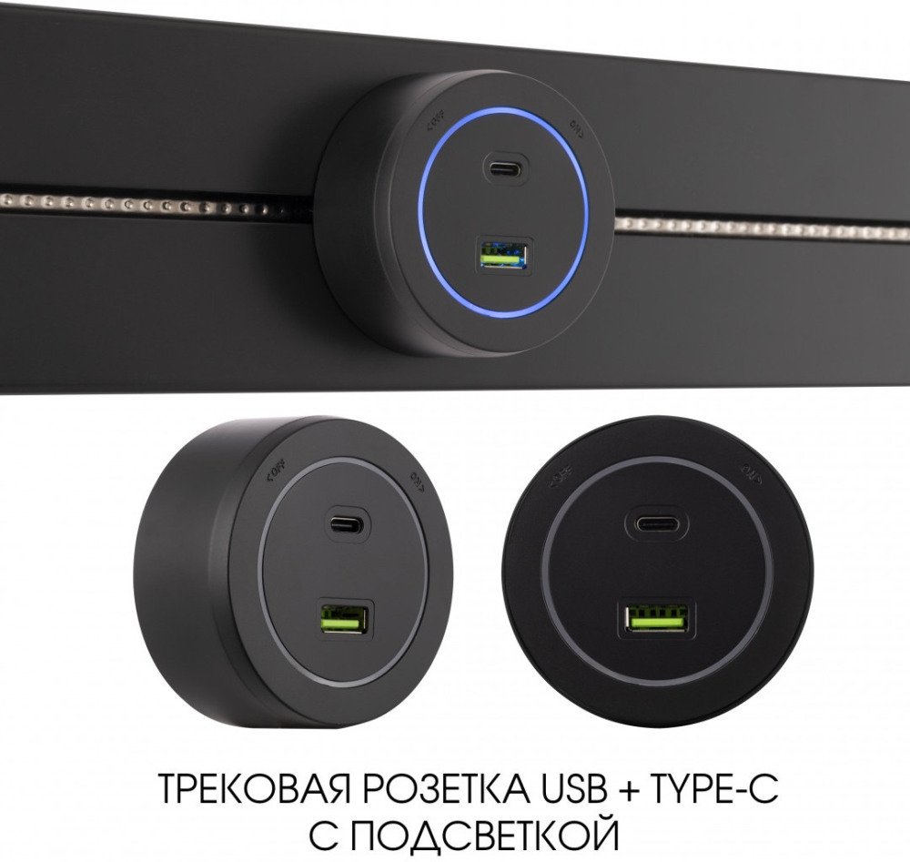 Трековая розетка Am-track-sockets-39 399731TS/USB-Type-C Black 