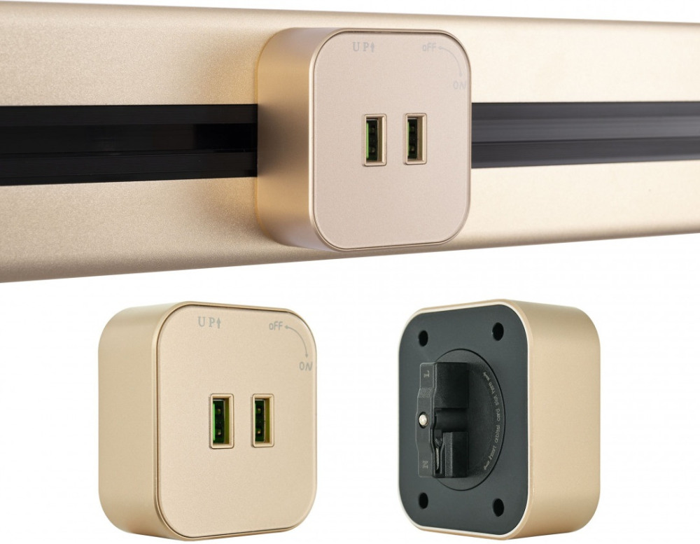 Трековая розетка Am-track-sockets 380022TS/USBx2 Gold 