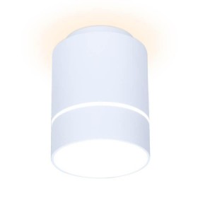 Потолочный светодиодный светильник Ambrella light Techno Spot TN255 