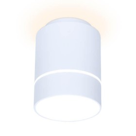 Потолочный светодиодный светильник Ambrella light Techno Spot TN256 
