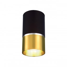 Потолочный светильник Elektrostandard DLN106 GU10 золото a047729 