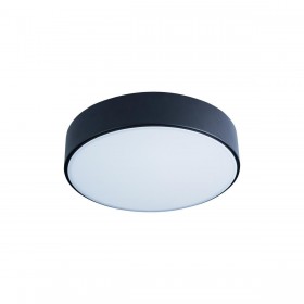 Потолочный светодиодный светильник Loft IT Axel 10002/12 black 
