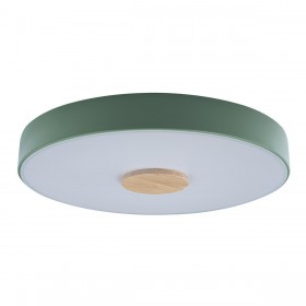 Потолочный светодиодный светильник Loft IT Axel 10003/24 green 