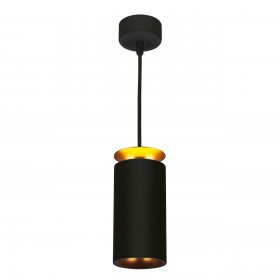 Подвесной светодиодный светильник Elektrostandard DLS021 9+4W 4200К черный матовый/золото a045504 