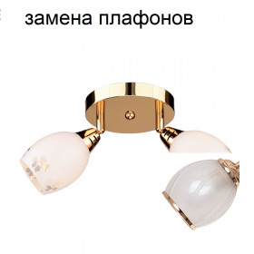 Потолочный светильник 4228/2CR WT_новый плафон ЭкономСвет 