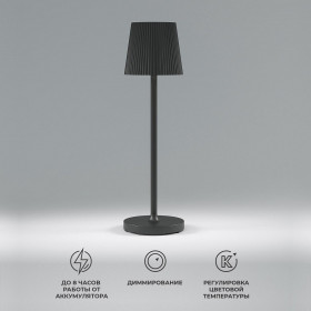 Настольная светодиодная лампа Elektrostandard Mist TL70220 черный a063970 